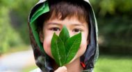 Young boy holds leaves in front of face